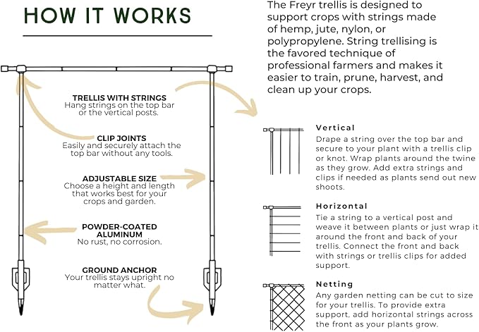 Seattle Urban Farm Company - Freyr Trellis - Vegetable Garden Trellis for Tomatoes Cucumbers Beans Peas and More