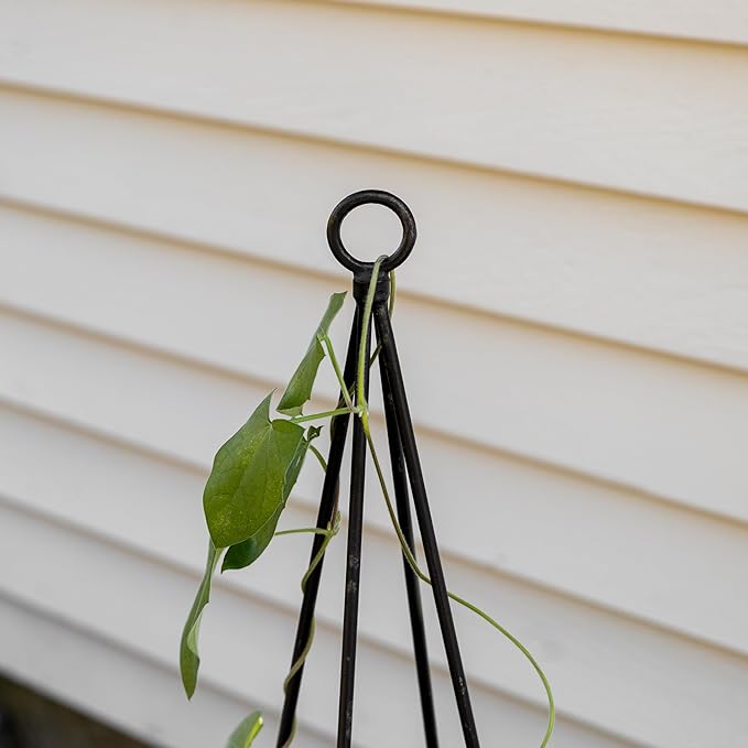 Container Trellis Pack of 2