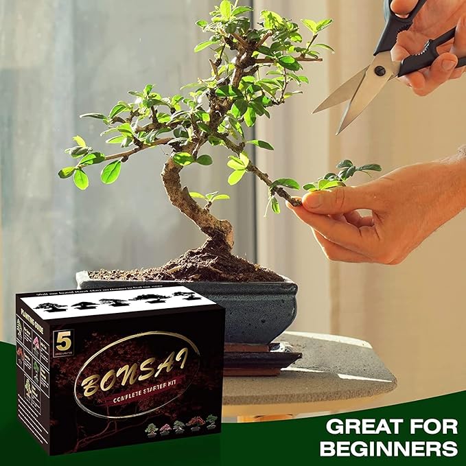 Bonsai Tree Kit with Complete Plant Growing Tools Grow in Pot Indoor Bonsai Tree Starter Kit Home Gardening DIY Gift for Adult