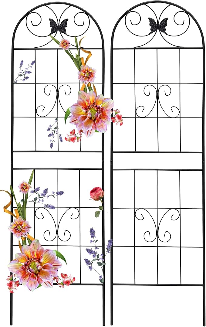 2 Pack Garden Trellises with Black Metal Coating Trellis for Climbing Plants Outdoor Roses Vegetables Vines Cucumbers-19.7×71 inches.
