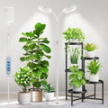 Large Plant Light for Indoor Plants 2 Head Full Spectrum Grow Light with 68 Adjustable Stand for Growing Large Tall Plants White Halo Floor LED Grow Lamp with 16 Hour Timer