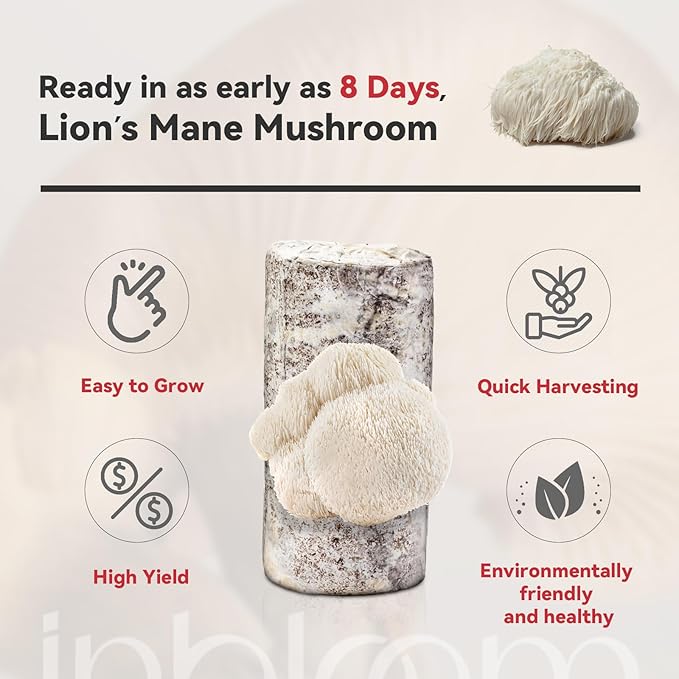 inbloom Organic Lion's Mane Mushroom Growing Kit with Spray Harvest Fresh Mushrooms at Home Beginner Friendly &amp Easy to Use Unique Gardening Gift for Holiday Handmade in New Jersey USA