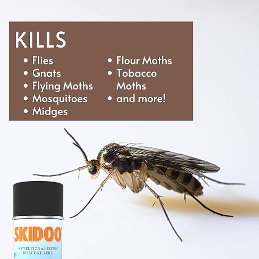 Diversey 5814919 Skidoo Institutional Flying Insect Killer II Kills Flies Gnats Mosquitoes Wasps &amp More Aerosol Bug Spray 15-Ounce