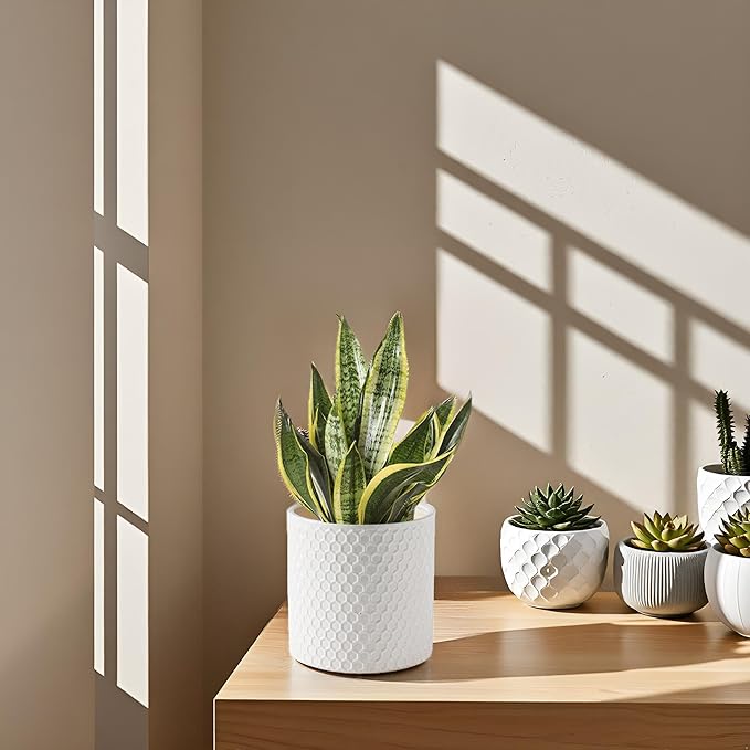 Docrin Ceramic Planters Indoor 8 Inch Plant Pot with Drainage Holes for Home/Office - White Honeycomb