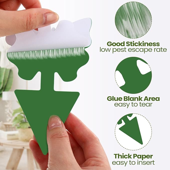 Qualirey 200 Sheets Fruit Fly Sticky Traps for Fruit Fly Gnat Trap for House Indoors Sticky Traps Catcher for Gnats Fungus Gnats Mosquito Catcher for Kitchen Outdoor Plants(Yellow Green)