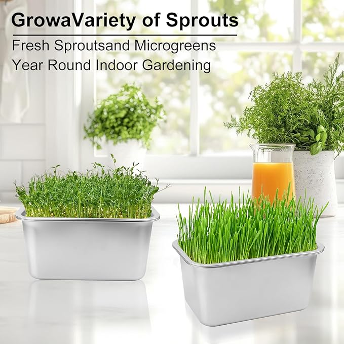 2 Set (4 Pack) Stainless Steel Sprouting Tray 13 x 9 inches Stainless Steel Germination Trays for Indoor Microgreens Broccoli Sprouts &amp Wheatgrass