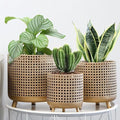 JHY DESIGN Set of 3 Plant Pots 10/8.5/7''H Metal Decoration Flower Pots with Hollow Design Large planters for Indoor &amp Outdoor Garden Home Balcony Railing Fence Plants(Gold)