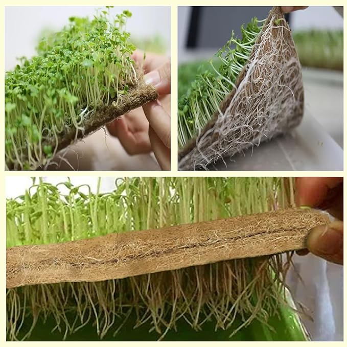 Vexillum Jute Microgreen Growing Mat Roll 2-Pack (5 x 197) – Natural Grow Pad for Microgreens Seed Sprouting &amp Hydroponic Trays