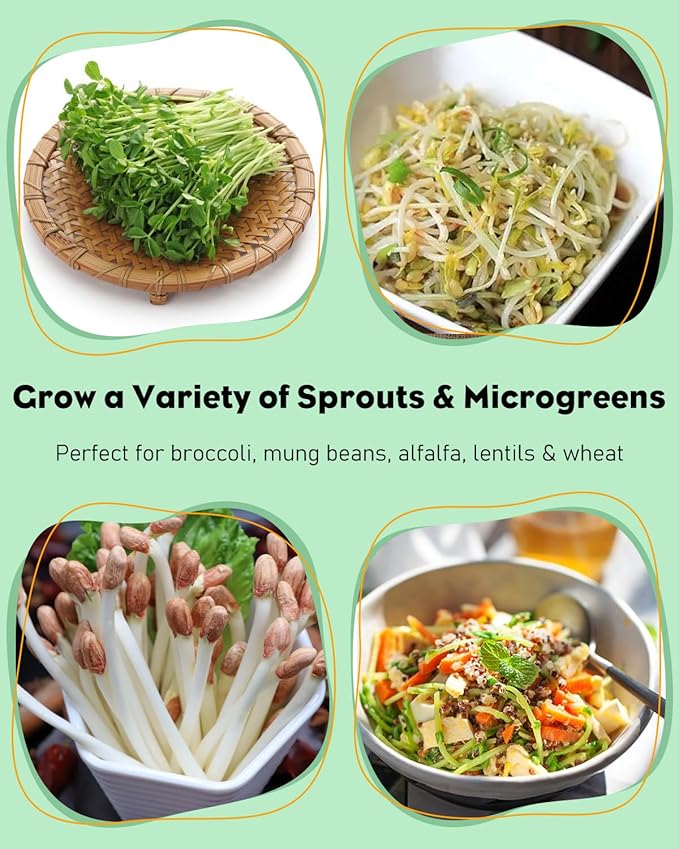 Pawfly Sprouting Kit Wide Mouth 1 Quart (1000 mL) Mason Jars Sprouting Jar Kit with Stainless Steel Mesh Sprouting Lids Sprouts Growing Kit Seed Sprouter for Broccoli Mung Bean &amp Alfalfa