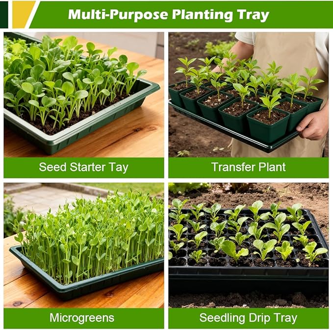 10 Pack Heavy Duty 1020 Trays No Holes - 1.6 Inch Deep Shallow Nursery Flats Reusable Seed Starter Trays for 72/128 Cell Inserts Microgreens Seedling and Hydroponics (Dark Green)