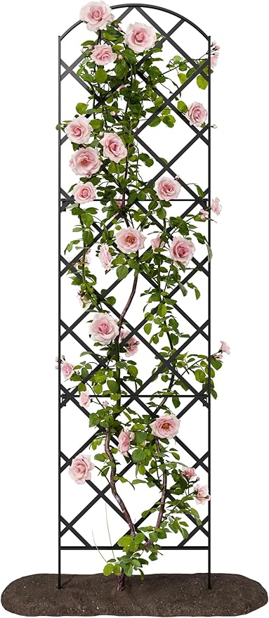 Giant Trellis 108” high (9’ Tall) by 28” Wide Trellis with Arched top - by Meranti Home + Garden
