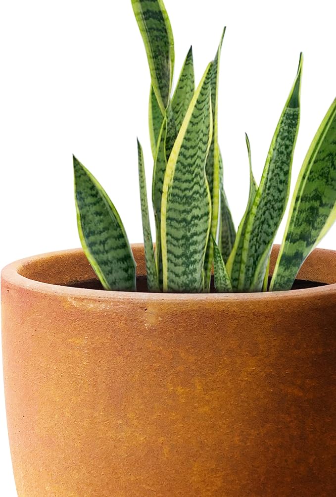 Kante 13.4 Dia Round Concrete Planter Large Outdoor Modern Indoor Decorative Plant Pots with Drainage Hole and Rubber Plug for Home and Garden Iron Oxide
