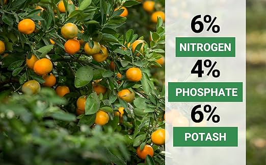 10-10-10 &amp 6-4-6 Avocado and Citrus Tree Professional Fertilizer for All Purpose Plants - Liquid Fertilizer with Seaweed Kelp &amp Iron - Orange Lime Avocado &amp Lemon Tree (8oz &amp 1/2 Qt)