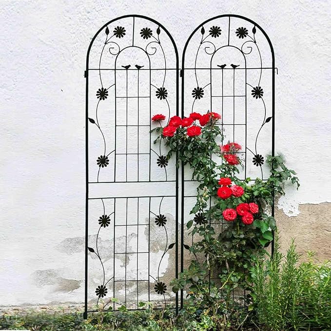 Garden Trellis for Climbing Plants 2-Pack Metal Arched Trellis Iron Plant Support for Roses Vines Outdoor Decor Easy Assembly Flower Lattice for Patio Yard