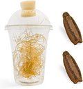 Carolina Praying Mantis Egg Cases Hatching Habitat Cup (Two Egg Cases) - Stem Education Comes with a Transparent Habitat Cup Each Egg Case Produces Approximately 50 to 200 Baby Nymphs Praying mantises