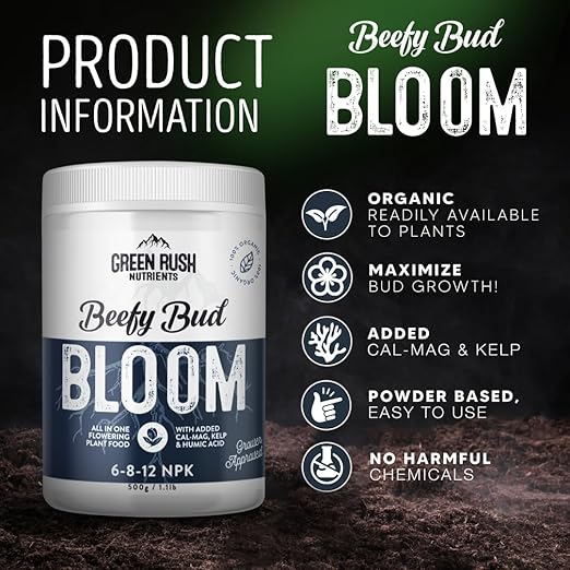 Organic Veg to Harvest Double Pack – Indoor &amp Outdoor Fertilizer for Leafy Greens Vegetables Herbs &amp More – Grow &amp Bloom Combo (500g - 4 Plants)