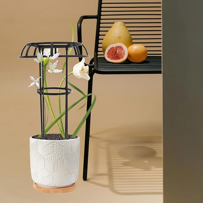 NUOBESTY Metal Plant Trellis Decorative Climbing Stand for Potted Plants and Garden Vines Easy Insert Support Frame for Indoor and Outdoor
