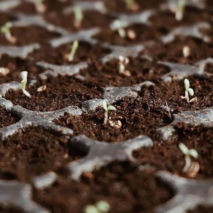 Premium Organic Coconut Coir Bricks - 6 Pack Coco Coir Bricks for Planting Gardening and Potting Soil Substrate. Low EC &amp pH Balanced 100% Organic Peat Moss Mix with Fiber from Coconut Husks