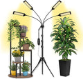 Plant Light for Indoor Plants Full Spectrum Indoor Grow Light with Timer (4 Units)