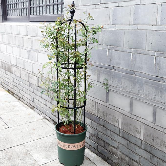 Trellis for Climbing Plants Outdoor3/4/5Ft Tower Garden Obelisk Trellis with Twist TieMetal Potted Plant Climbing Support for Indoor Outdoor Flowers Vegetable Fruits Vines Support (4FT)