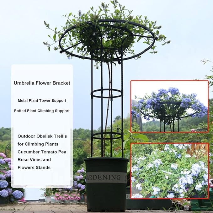 Garden Obelisk Trellis for Climbing Plants 3/4/5/5.9/6.9 feet Metal Umbrella Trellis Tower Frame Outdoor Flower Support Cage Climbing Stand Rack for Vines Rose (Size : 90cm/3ft)