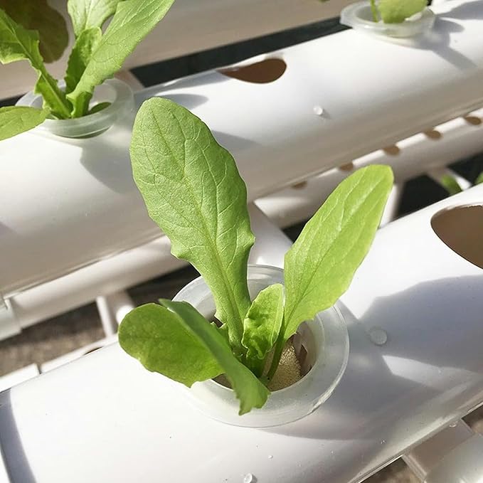 XENITE Hydroponics Garden Indoor Growing System for Vegetables PVC Pipe Hydroponic Garden Supplies Hydroponics System for Weed 0823