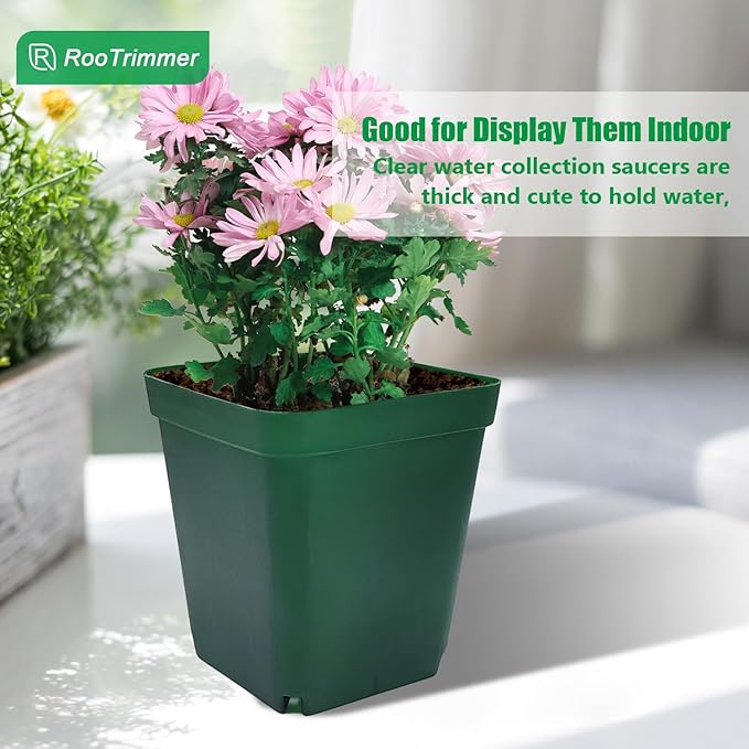Square Nursery Succulent Pots 4 Inches 60 Pcs Deep Flower Plant Nursery Seedling Grow Pots Plastic with Drainage (Green 4Inches 60Pcs)