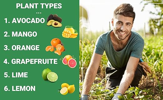 Professional Citrus Fertilizer &amp Organic Lemon Tree Potting Soil Bundle - Perfect Balanced NPK for All Citrus Indoor &amp Outdoor Potting Soil Mix for Growth &amp Repotting (4-3 Quart)
