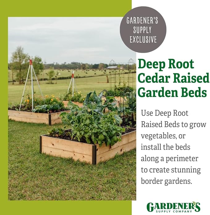 Gardener's Supply Company Raised Garden Bed | Outdoor Planter Box w/Extra Deep Height for Rooted Plants Herbs Flowerbed &amp Vegetable Garden Cedar Wooden Box | 3' W x 3' L x 14 H
