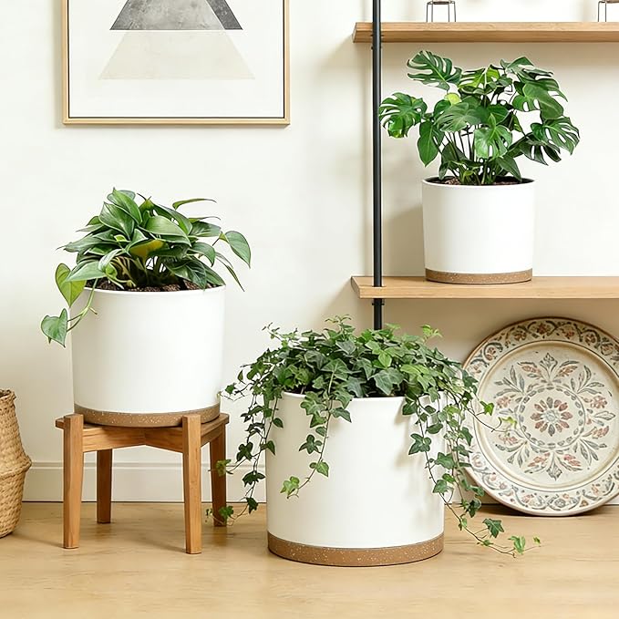 Large Plant Pots Set of 3 – 8 9 10 Indoor Flower Pots with Drainage Holes and Saucers Big Planters for Monstera Fiddle Leaf Fig Snake Plant – 5 Colors