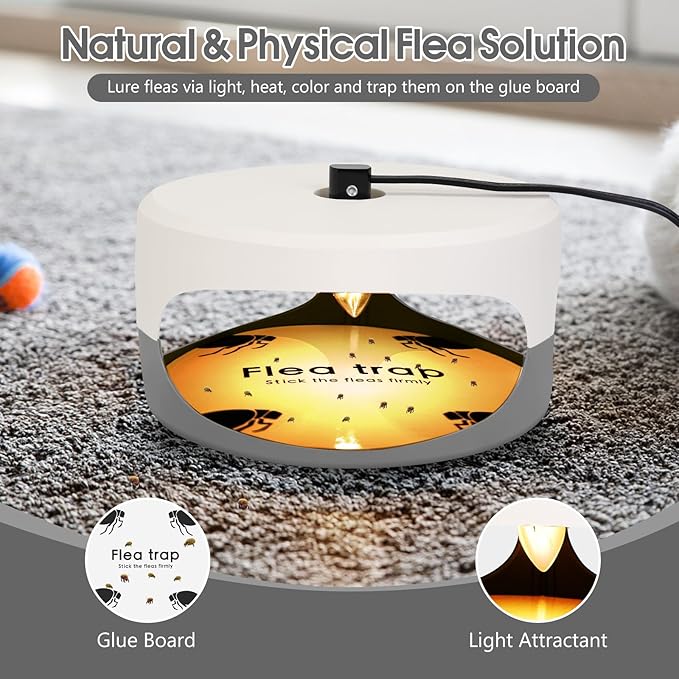 Flea Traps for Inside Your Home 4 Pack Original Indoor Flea Light Bed Bug Killer w/ 12 Sticky Pads &amp 12 Light Bulb Refills Replacement Odorless Insect Infestation Treatment Trap Lamp for Kid Pet