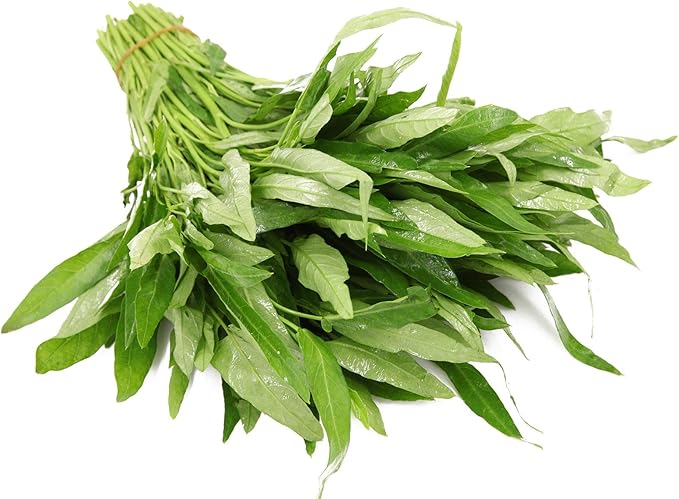 2000 Seeds Kangkong Seeds - Rau Muong Seeds Ong Choy Cong Xin CAI Seeds Brown Wạtér Spinạch Seeds Vegetable Seeds