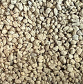 Genuine Japanese Hyuga Pumice for Orchid &amp Bonsai Tree Soil - Small Grain 3 gal.