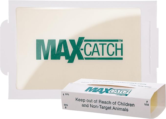 Catchmaster Max-Catch Mouse &amp Insect Glue Trap 36PK Mouse Traps Indoor for Home Sticky Pest Control Adhesive Tray for Catching Bugs Bulk Unscented Glue Boards