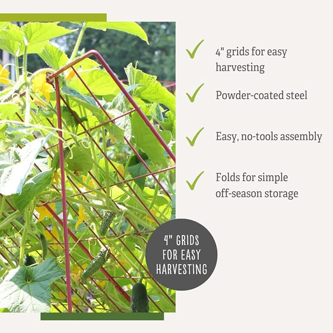 Gardener's Supply Company Cucumber Trellis | Garden Bed Support for Cucumbers &amp Climbing Plants | Outdoor Plant Support w/ 4 Grids for Easy Harvesting | 32 x 48 - Medium (Red)
