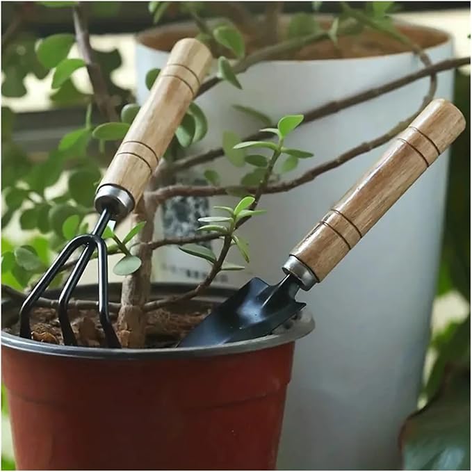 3pcs/Set Garden Tool Set Rake Tip Shovel Large Gardening Mini Succulent Plant Loose Soil Flower Aluminum Alloy Gardenin