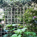 Sturdy Metal Garden Trellis for Climbing Plants – Rust-Resistant Outdoor Plant Support with Decorative Lattice Design (2 Pack-Cream White)