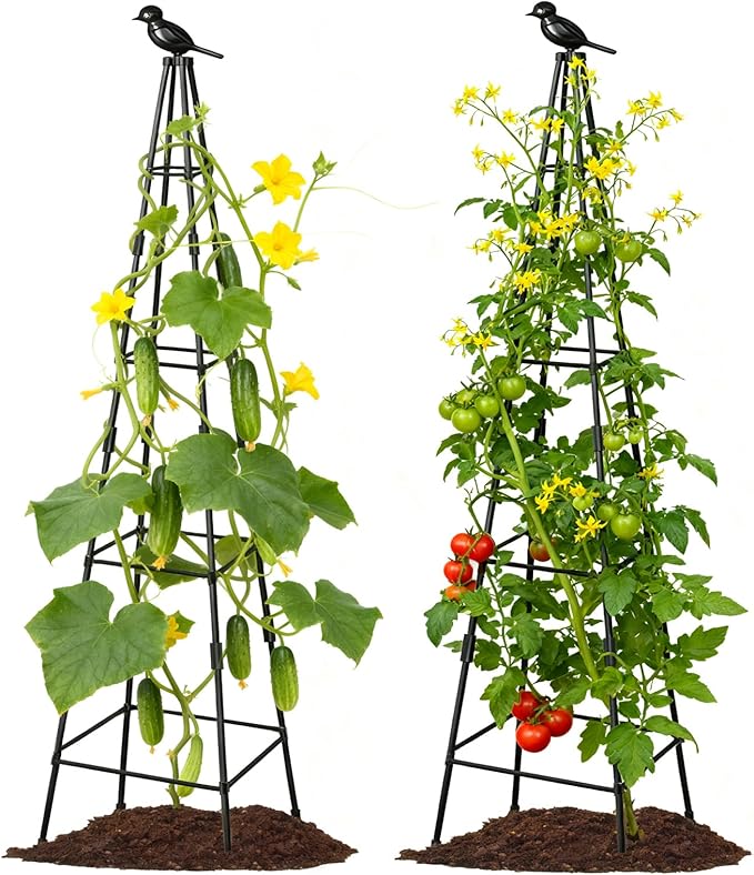 2 Pack Garden Trellis for Climbing Plants Outdoors 70inch Tower Obelisk Trellis for Potted Climbing Plants Plant Support for Potted Flowers Roses Tomatoes Cucumbers &amp Vegetables
