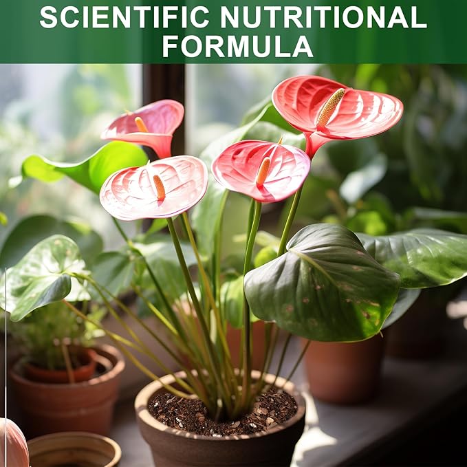 All-Natural Potting Soil for Anthurium &amp Indoor Plants 10qt - Enhanced Drainage No Additives | Premium Indoor Plant Soil Mix