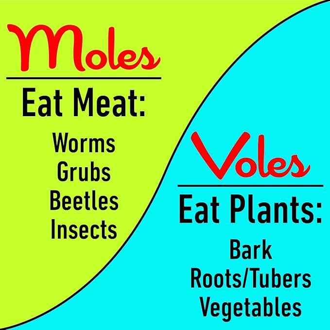 I Must Garden Mole &amp Vole Repellent Hose End Concentrate: Professional Strength – Twice The Coverage – All Natural Ingredients – 32oz