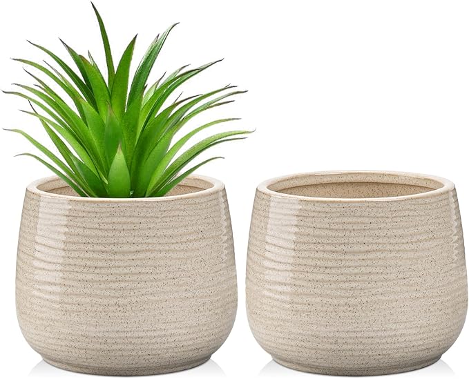 Ceramic Plant Pots 5.3 Inch Set of 2 Flower Plants Pot with Drainage Holes White Planter Garden Pot for Succulent Cactus Home Decoration Gift Indoor Outdoor