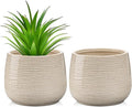 Ceramic Plant Pots 5.3 Inch Set of 2 Flower Plants Pot with Drainage Holes White Planter Garden Pot for Succulent Cactus Home Decoration Gift Indoor Outdoor