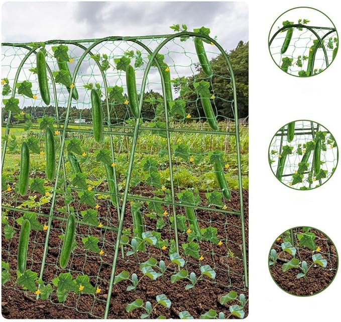 Functional U Shape Garden Trellis Reliable Support for Climbing Plants with Easy Assembly Instructions