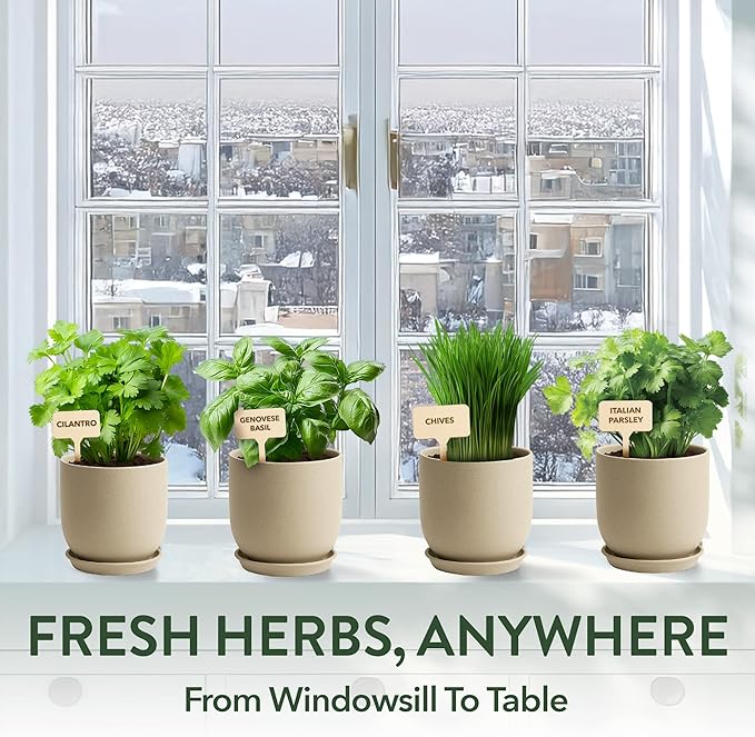 HOME GROWN Indoor Organic Herb Garden Kit Unique Valentines Day Gift for Adults Men &amp WomenGrow 4 Herb Seeds for Kitchen Window GardenBeginner DIY Hobby Gardening Gift for Plant Lovers Mom &
