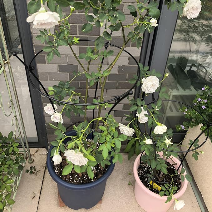 Peony Cage Plant Support Metal Garden Trellis for Climbing Plants Decoration Gardening Trellis for Pot Plant Vegetables Vines Flowers Anti-Rust(78x36cm/30.7x14.2in)