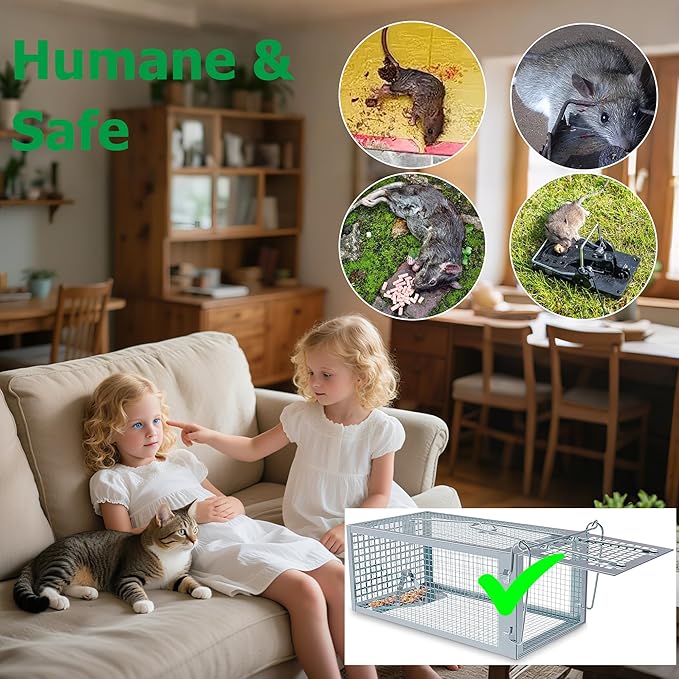 Humane Rat Traps 2-Pack No Kill Small Animal Cage Trap Live Mouse Trap Cage Catch and Release Trampa para Ratones Chipmunk Rodent Trap that Work for Indoor and Outdoor - 10.6 L x 5.5 W x 4.7 H