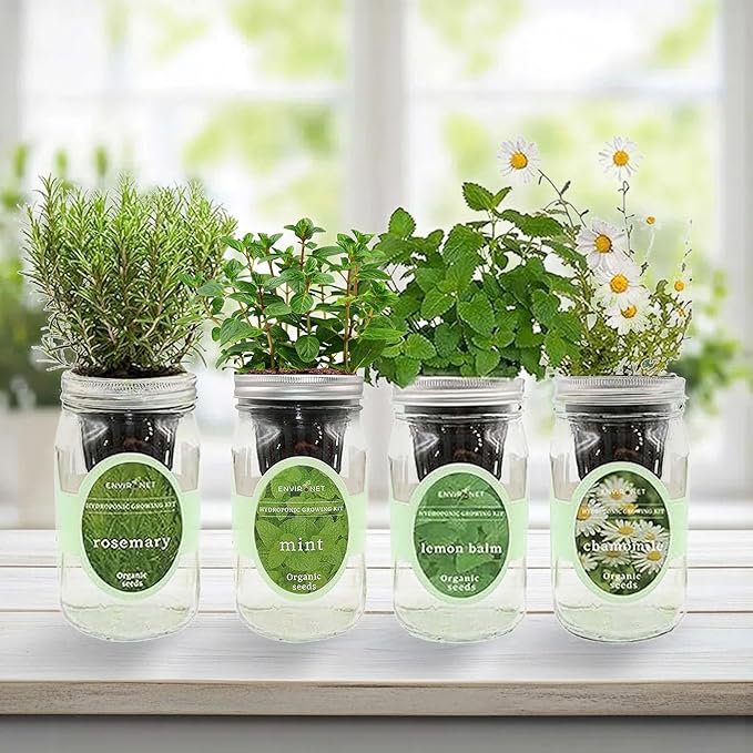 Hydroponic Mason Jar Organic Herbal Tea Seed Starter Kits - Herbal Tea Garden Growing Kits Gardening Gift Grow Your Own Herbal Teas Indoor (Chamomile Mint Lemon Balm Rosemary)