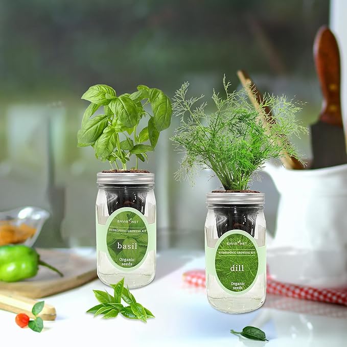 2-Pack Hydroponic Mason Jar Herb Garden Kit Indoor Herb Garden Self-Watering Starter Kit (BasilDill)