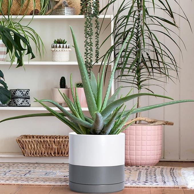 D'vine Dev 10 Inch Ceramic Planter Pot with Drainage Hole and Saucer Indoor Cylinder Round Planter Pot White/Speckled Grey 94-O-E-6