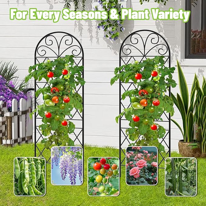 Garden Trellis for Climbing Plants 3 Pack 38 Wx 64.6 H Rustproof Flower Trellis with Black Coating Outdoor Climbing Rose Trellis Cucumbers Support for Courtyards Lawns (Diamond-Shaped Grid)